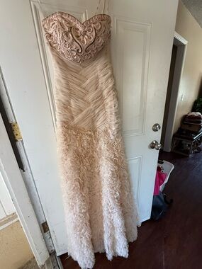 Sue Wong Blush Beige Embellished Evening Dress